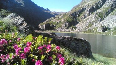 essai